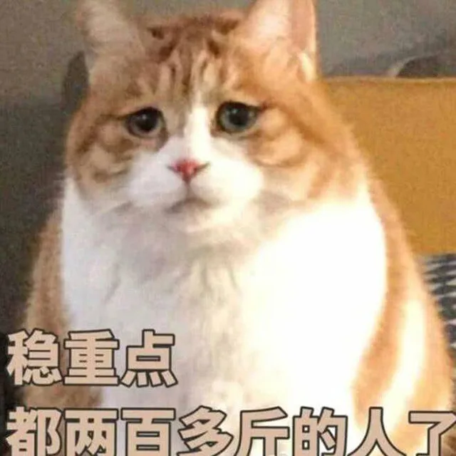 稳重点都两百多斤的人了（稳重点都两百多斤的人了）