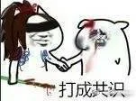 打成共识（打成共识）