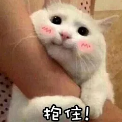 抱住（抱住）