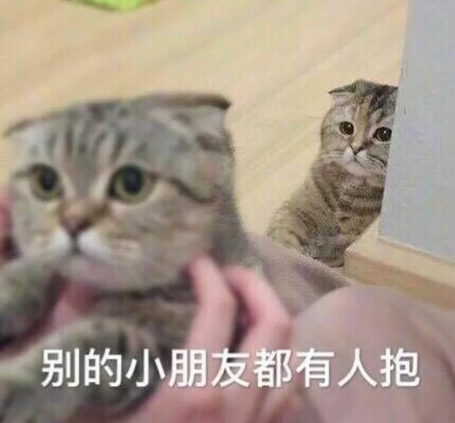 别的小朋友都有人抱（别的小朋友都有人抱）