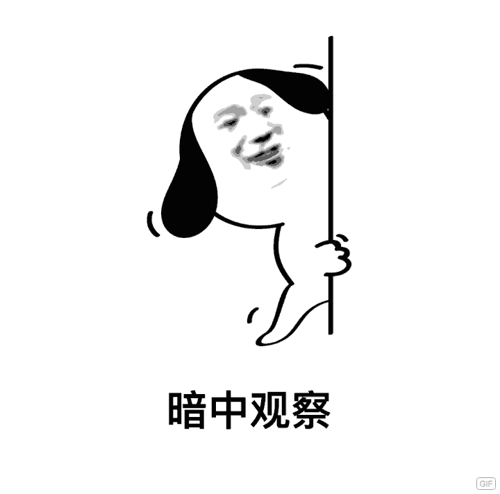 暗中观察（暗中观察）
