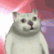 闪闪闪闪闪（闪闪闪闪闪）