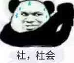 社，社会！（害怕害怕）（社，社会！（害怕害怕））