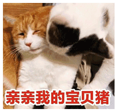 亲亲我的宝贝猪（亲亲我的宝贝猪）