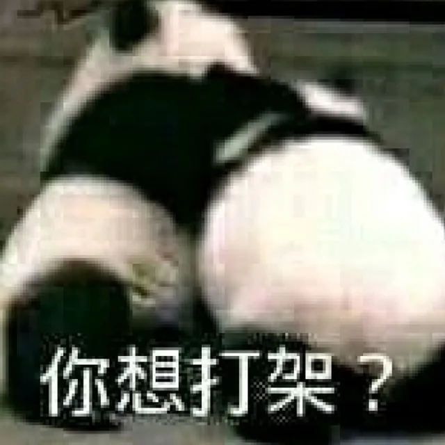 你想打架（你想打架）