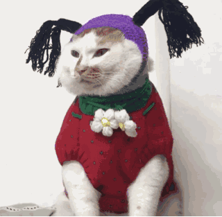 小猫妹子（小猫妹子）
