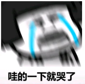 哇的一下就哭了（哇的一下就哭了）