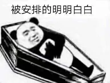 被安排的明明白白（被安排的明明白白）