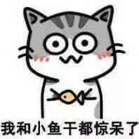 我和小鱼干都惊呆了（我和小鱼干都惊呆了）