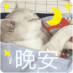 晚安（晚安）