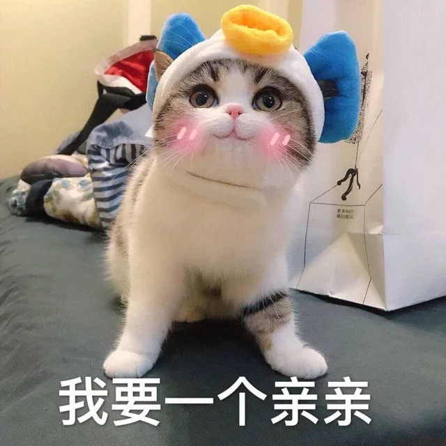 我要一个亲亲（我要一个亲亲）