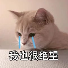 我也很绝望（我也很绝望）