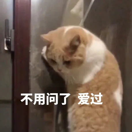 不用问了，爱过（不用问了，爱过）