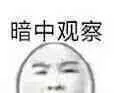 暗中观察（暗中观察）