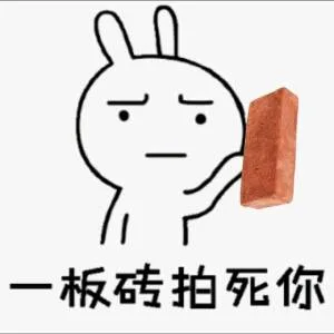 板砖拍死你（板砖拍死你）