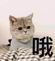 哦（哦）