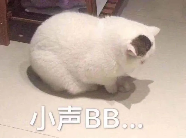 小声BB（小声BB）