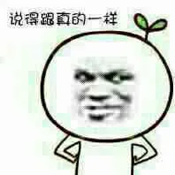 说得跟真的一样（说得跟真的一样）
