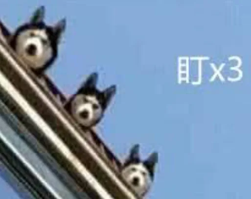盯X3（盯X3）
