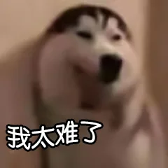 我太难了（我太难了）