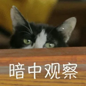 暗中观察（暗中观察）