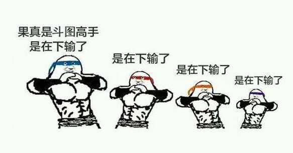 果真是斗图高手是在下输了（果真是斗图高手是在下输了）