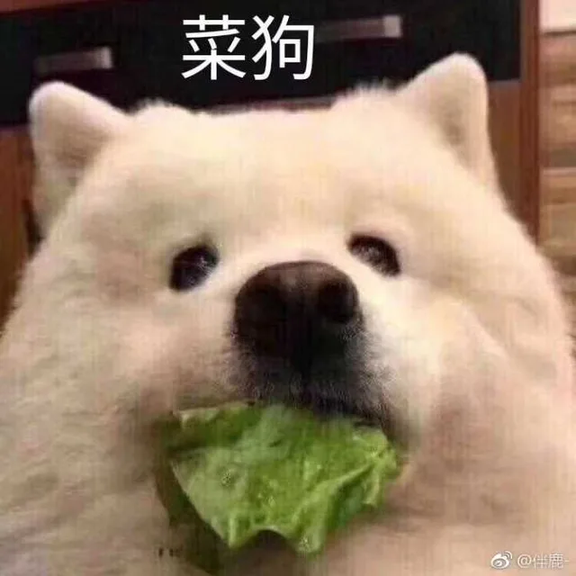 菜狗（菜狗）