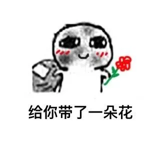 给你带了一朵花（给你带了一朵花）