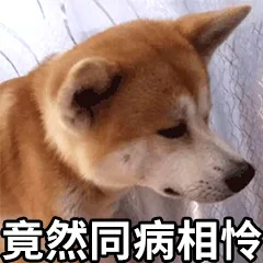 竟然同病相怜（竟然同病相怜）