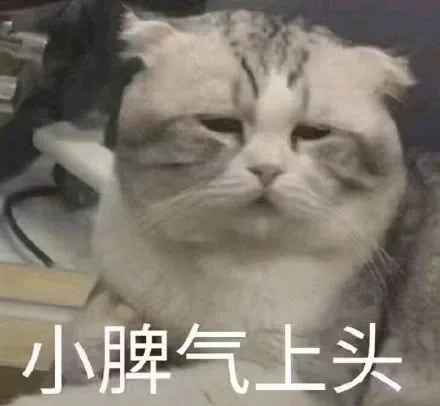小脾气上头（小脾气上头）