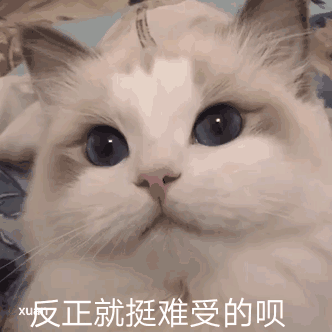 反正就挺难受的呗（反正就挺难受的呗）