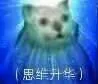 思维升华（思维升华）