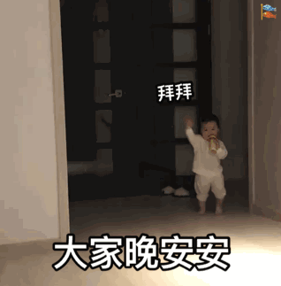 拜拜大家晚安安（拜拜大家晚安安）