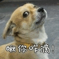 瞅你咋滴（瞅你咋滴）