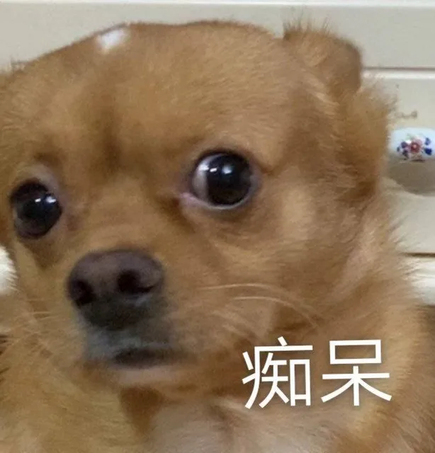 痴呆（痴呆）