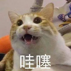 哇噻（哇噻）