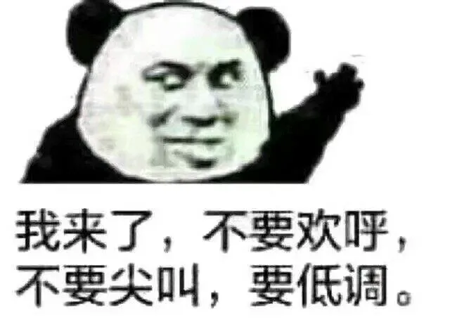 我来了，不要环宇（我来了，不要环宇）