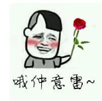 送花：哦仲意雷~（我喜欢你）（送花：哦仲意雷~（我喜欢你））