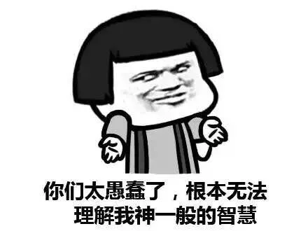 你们太愚蠢了，根本无法理解我神一般的智慧！（你们太愚蠢了，根本无法理解我神一般的智慧！）