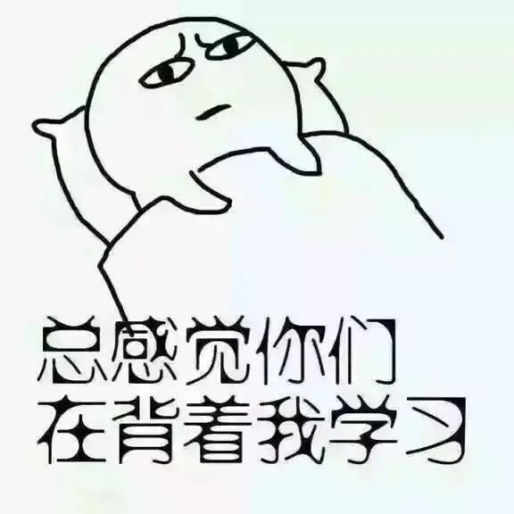 总感觉你们在背着我学习（总感觉你们在背着我学习）