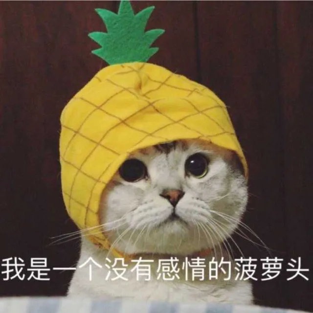 我是一个没有感情的菠萝头（我是一个没有感情的菠萝头）