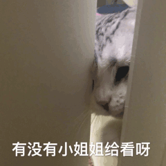 有没有小姐姐给看呀（有没有小姐姐给看呀）