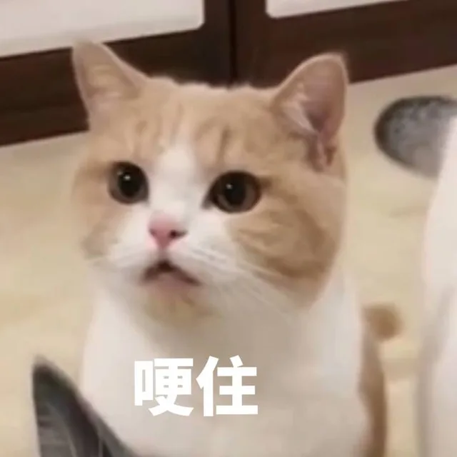 哽住（哽住）