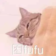 困fufu（困fufu）