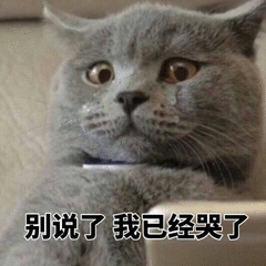 别说了我已经哭了（别说了我已经哭了）