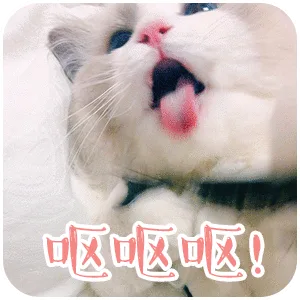 呕呕（呕呕）