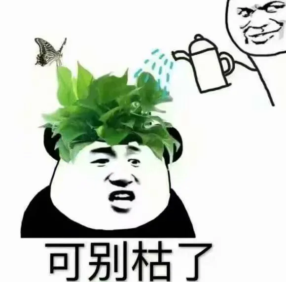可别枯了（浇花）（可别枯了（浇花））