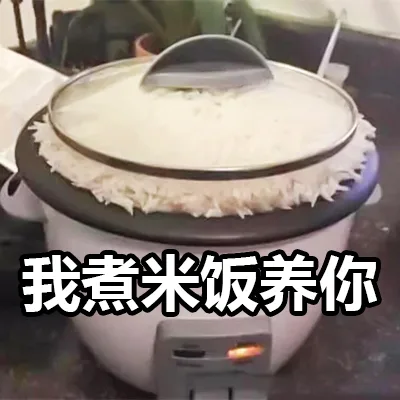 我煮米饭养你（我煮米饭养你）