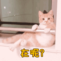 在呢？（在呢？）