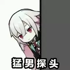 猛男探头（猛男探头）